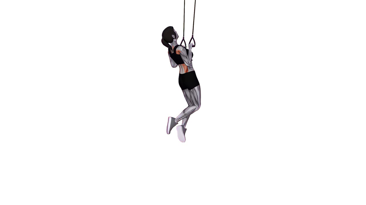Chins med suspension trainer och grepp - slutposition