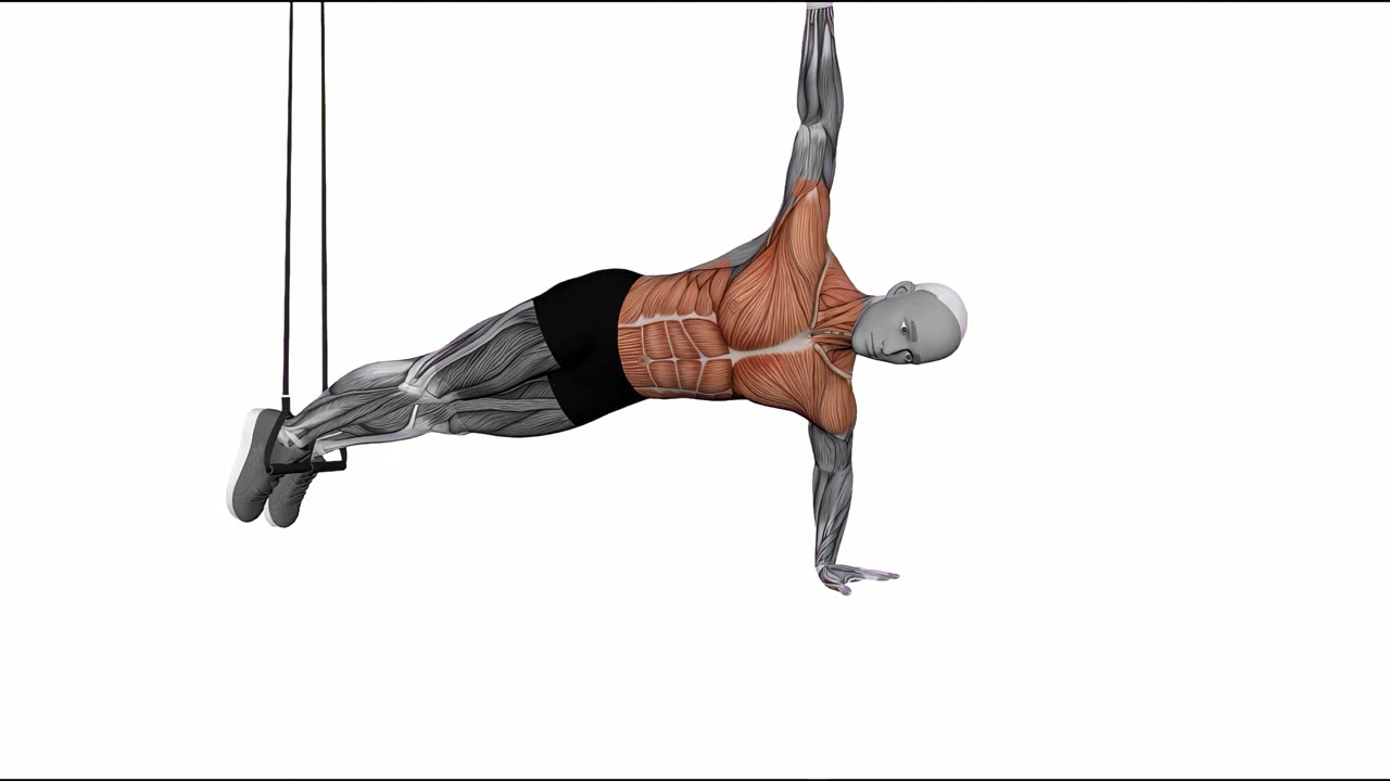 Armhävning med sidoplanka i TRX - slutposition
