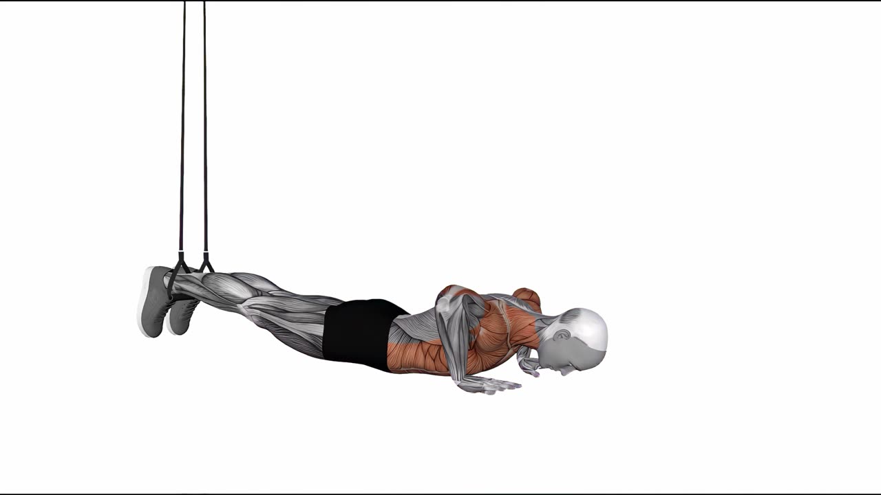 Armhävning med sidoplanka i TRX - startposition