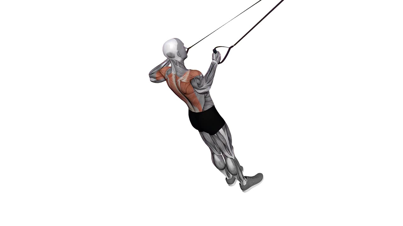 Bakre deltarrodd med TRX - slutposition