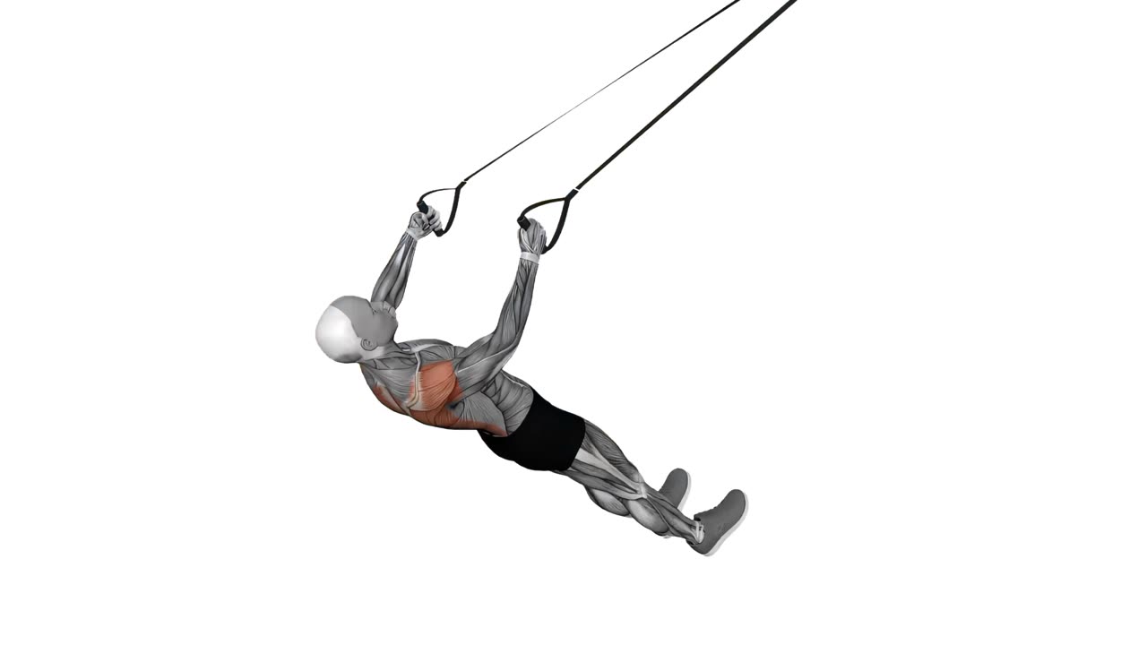 Bakre deltarrodd med TRX - startposition