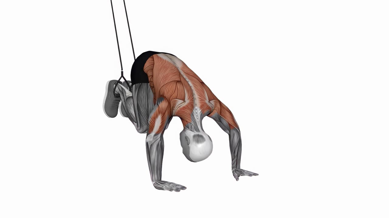 Omvänd ab-rollout i TRX - slutposition
