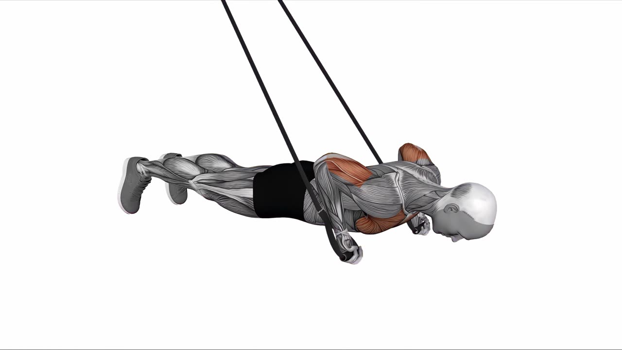 TRX omvänd armhävning med underhandsgrepp - slutposition