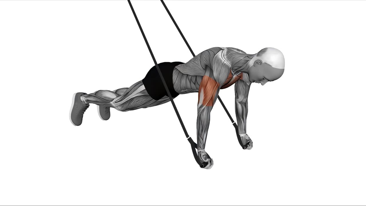 TRX omvänd armhävning med underhandsgrepp - startposition