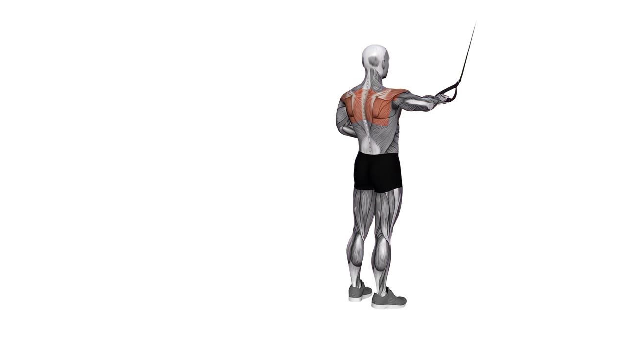 Enarms bakre deltarrodd med TRX - slutposition