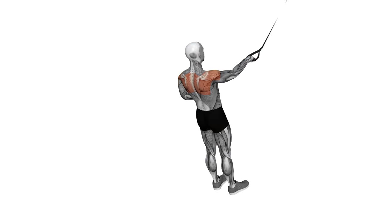 Enarms bakre deltarrodd med TRX - startposition