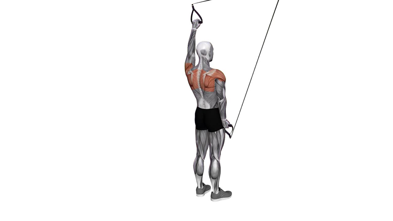 Flyes med TRX, alternerande grepp - slutposition