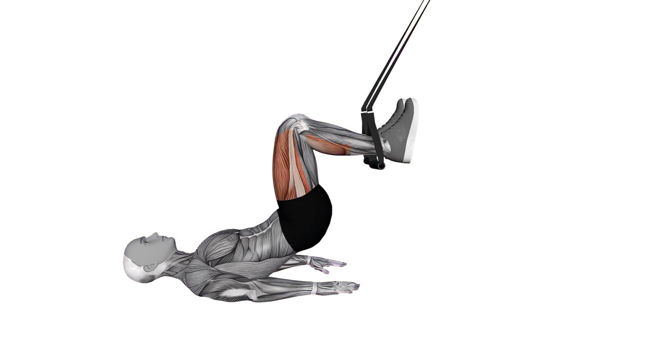 Lårcurl med raka höfter i TRX - slutposition