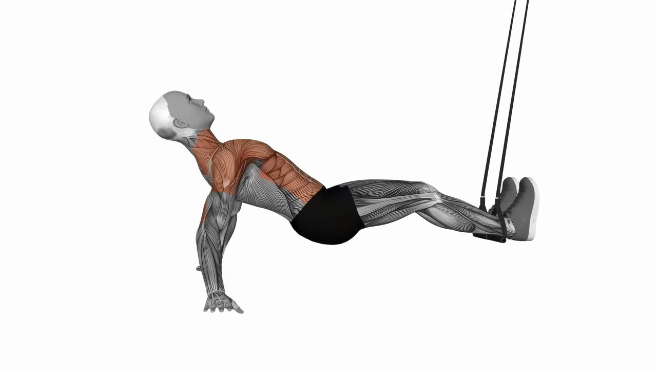 Crunch med TRX, ryggliggande - startposition