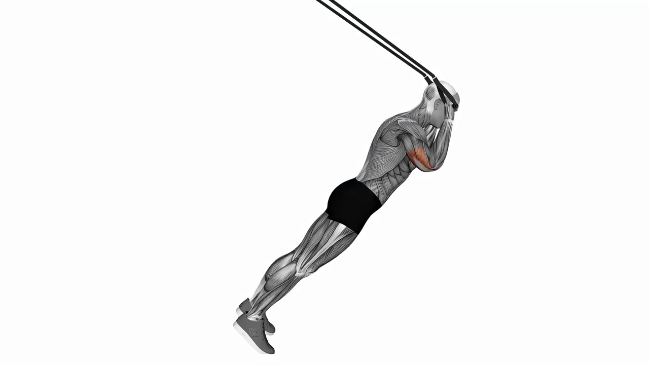 Tricepspress med TRX - startposition