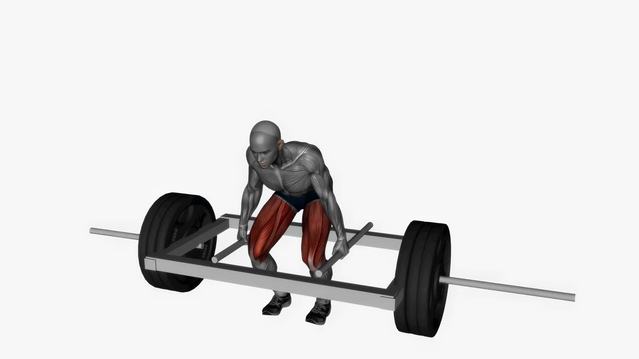Trap bar marklyft - startposition
