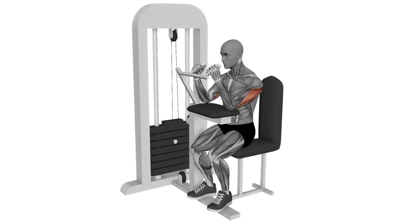 Tricepspress i maskin - startposition