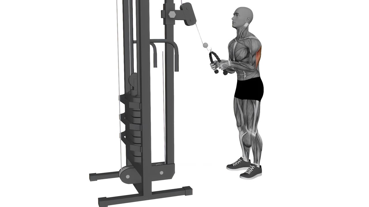 Tricepspress med rep i kabelmaskin - startposition