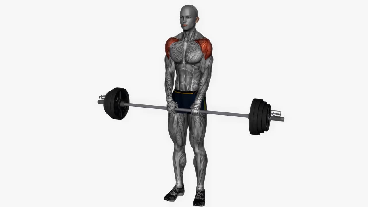 Aprodd med skivstång - startposition