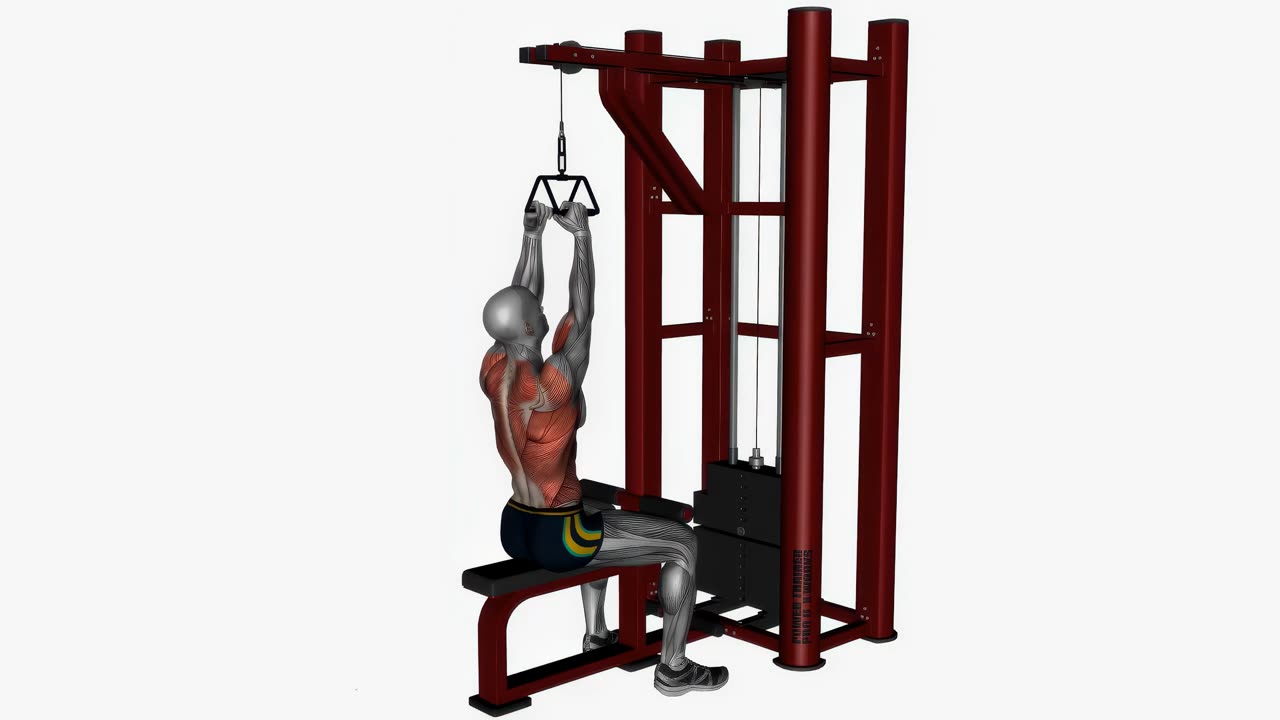 Latsdrag med V-stång - startposition