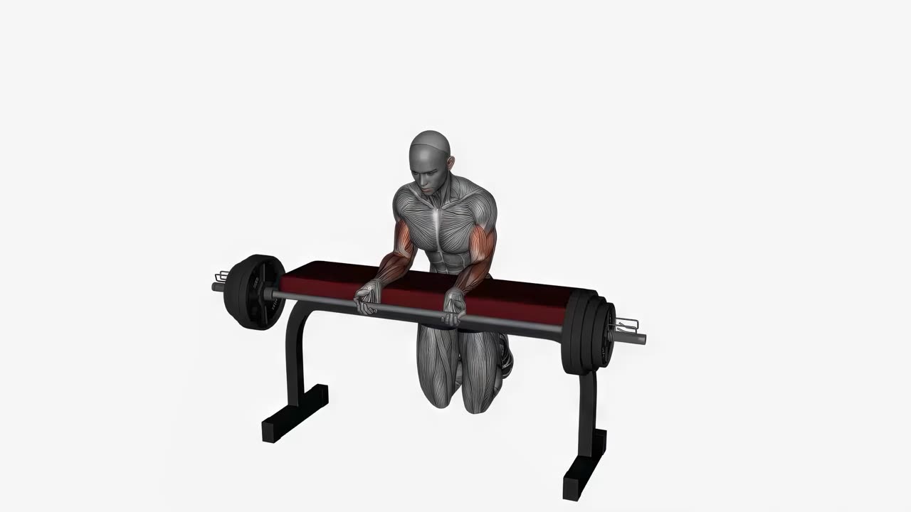Handleds-curl med skivstång - startposition