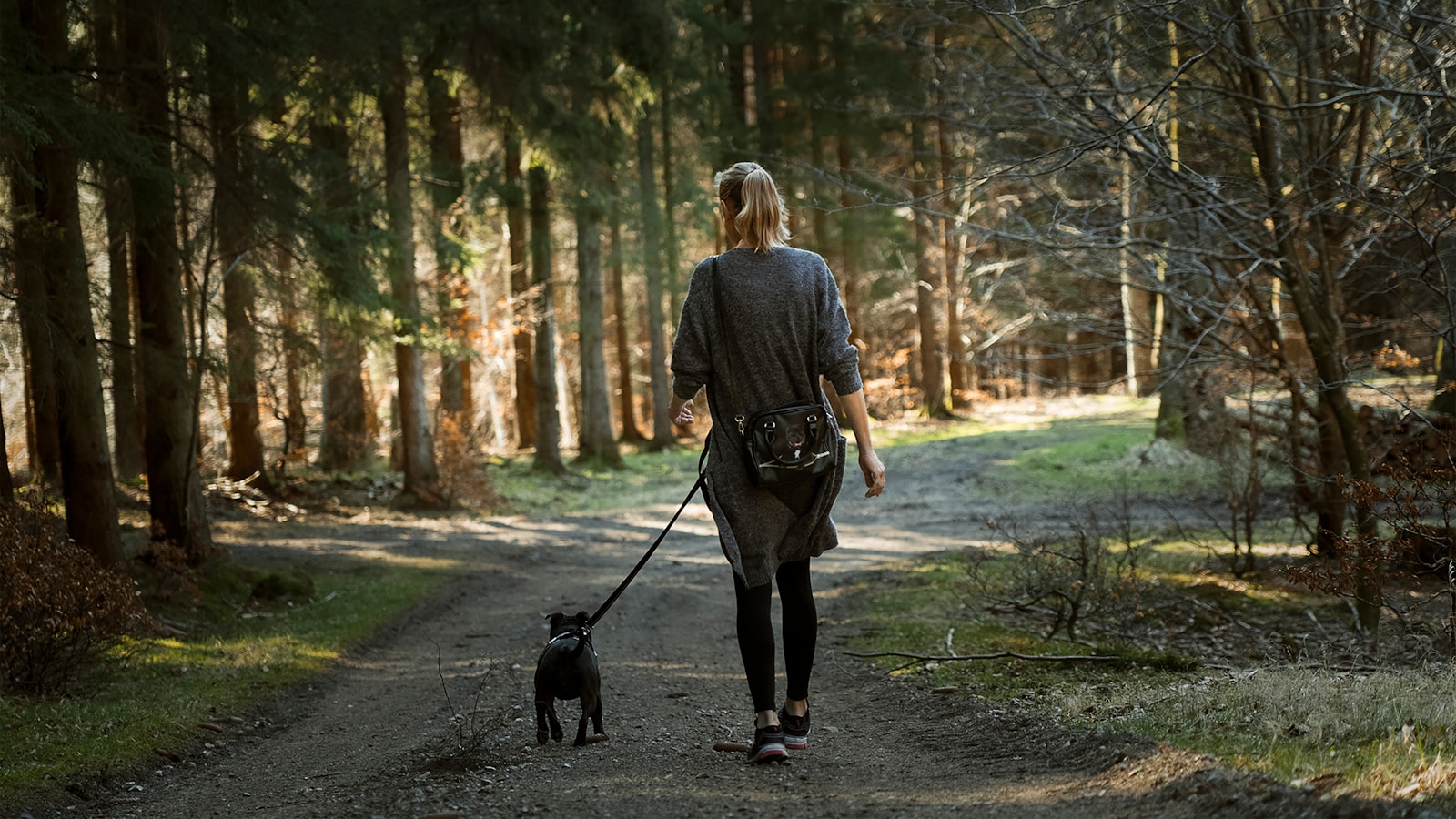 Kvinna går på skogsstig med hund i koppel