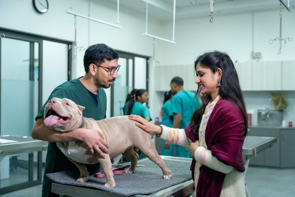 Veterinär och hundägare undersöker en hund på ett behandlingsbord i en veterinärklinik