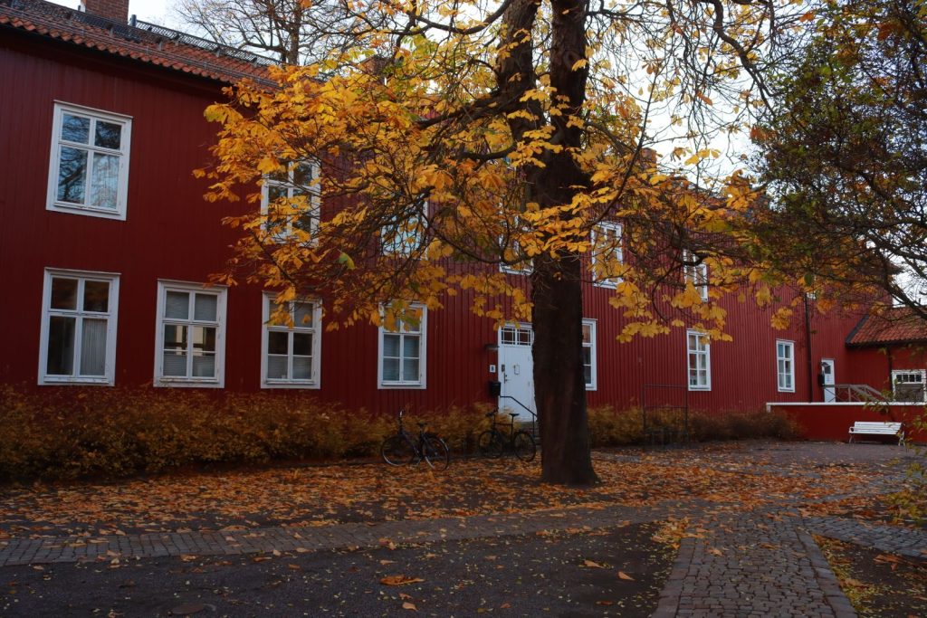 Hus målat i Falu rödfärg