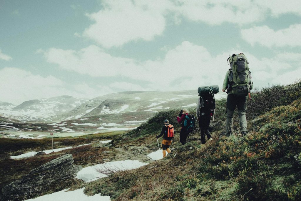Vandrare i ett fjällandskap