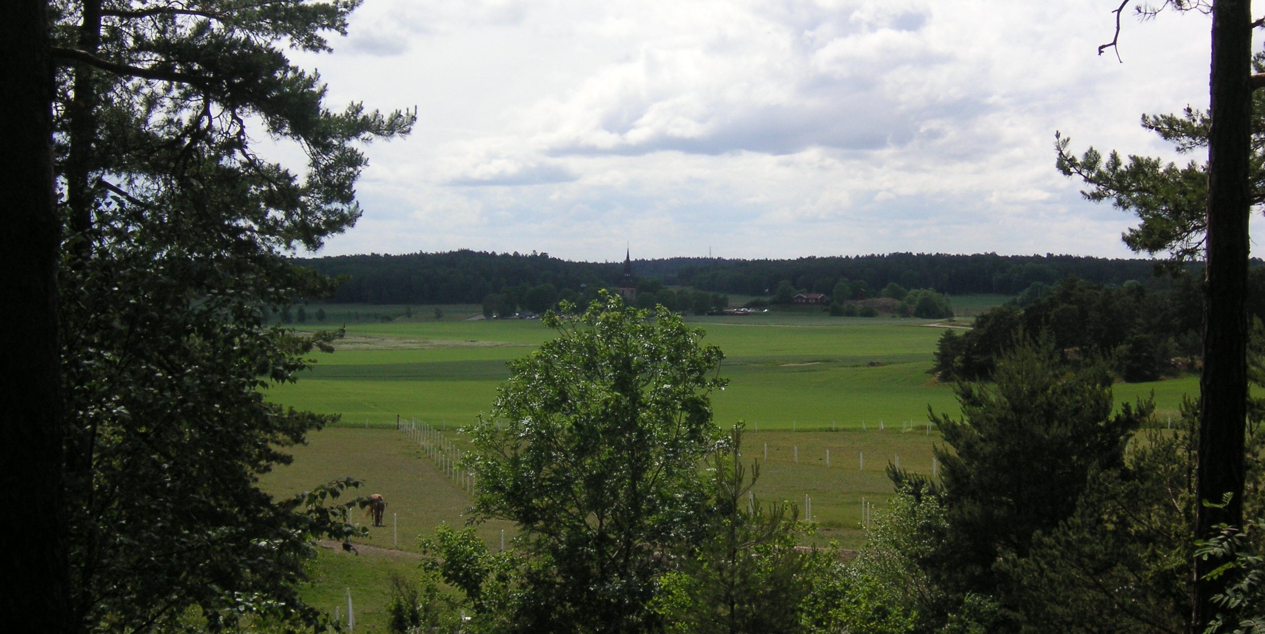 Quiet farmland landscape with grazing horses and a distant church on the island of Lovon in Lake Malaren