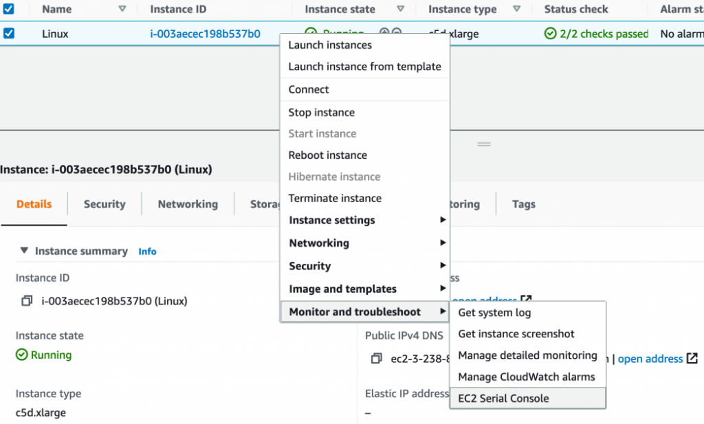 ec2-serial-console
