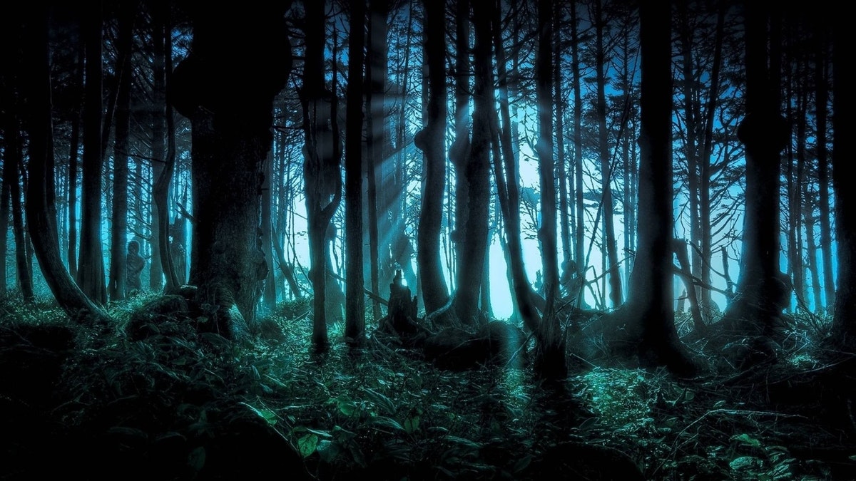 the-blockchain-is-a-dark-forest