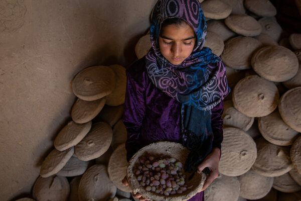the-ancient-method-that-keeps-afghanistan’s-grapes-fresh-all-winter