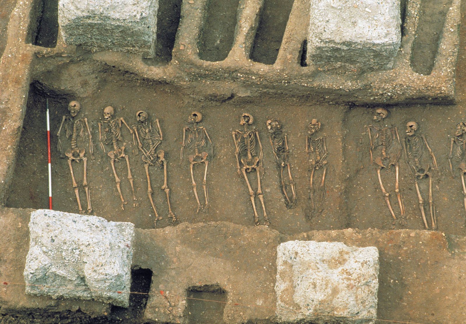 did-the-black-death-rampage-across-the-world-a-century-earlier-than-we-thought?
