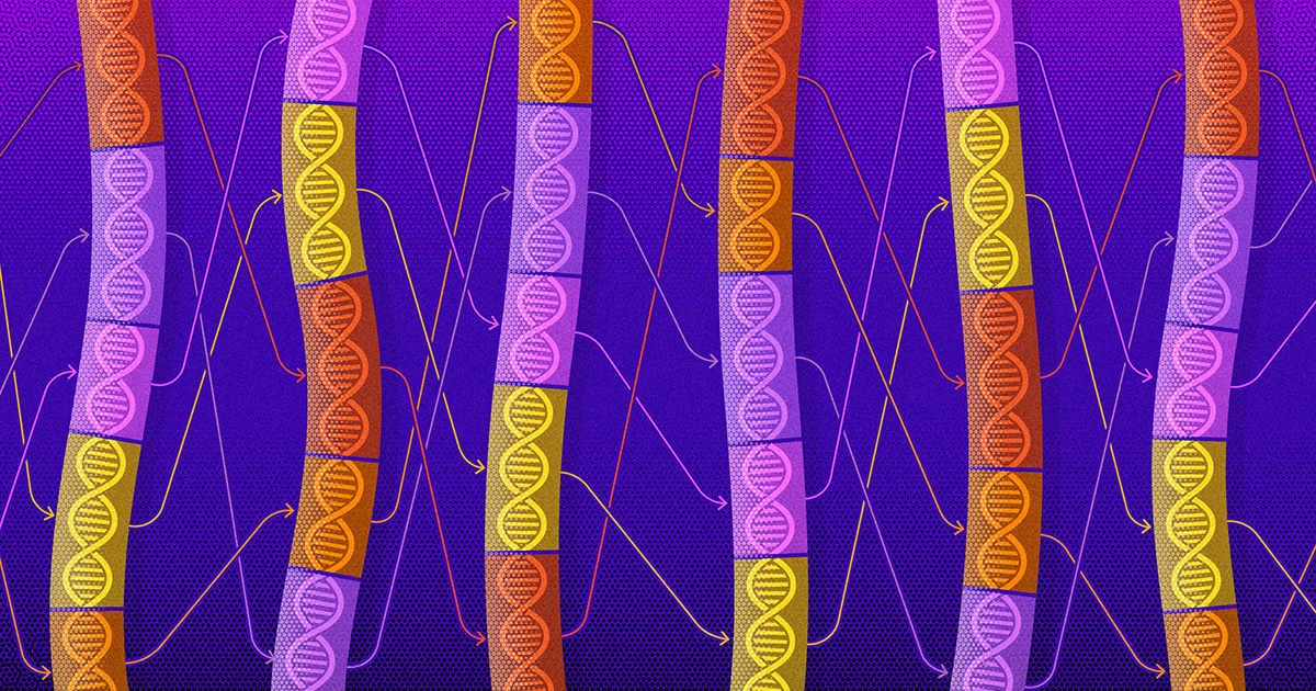 scientists-catch-jumping-genes-rewiring-genomes