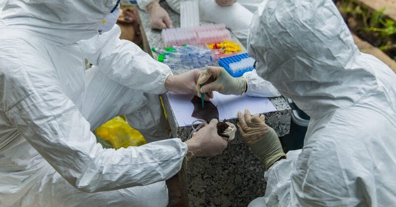 more-scientists-urge-broad-inquiry-into-coronavirus-origins