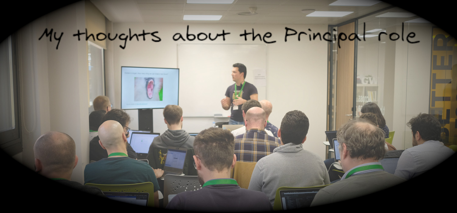 my-thoughts-about-the-principal-role