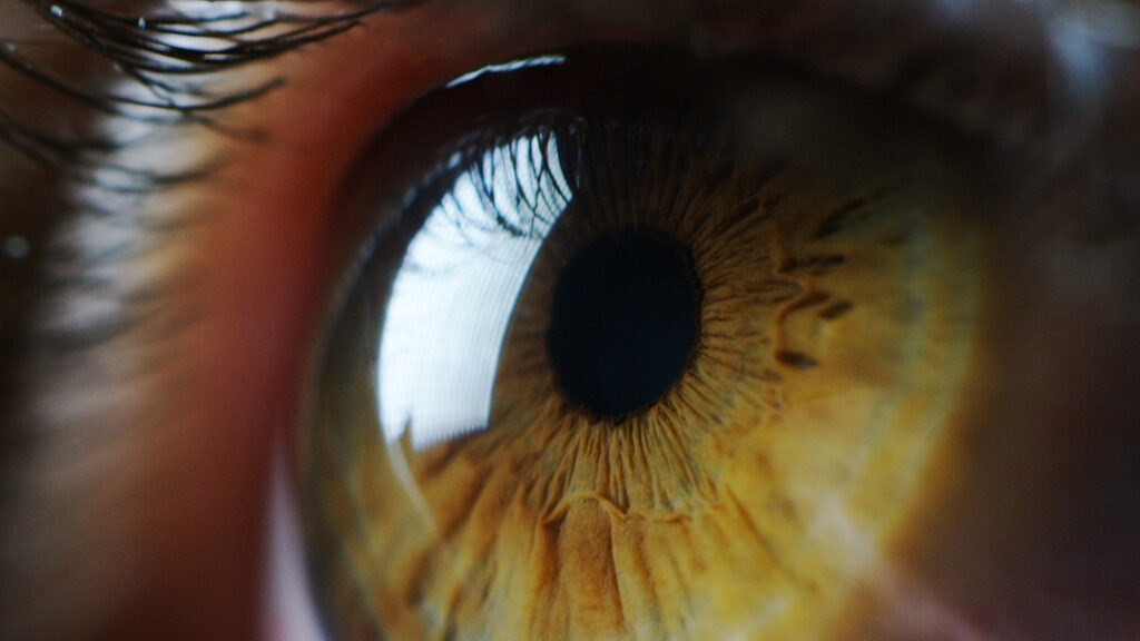scientists-use-optogenetics-for-the-first-time-to-help-a-blind-patient-see-again