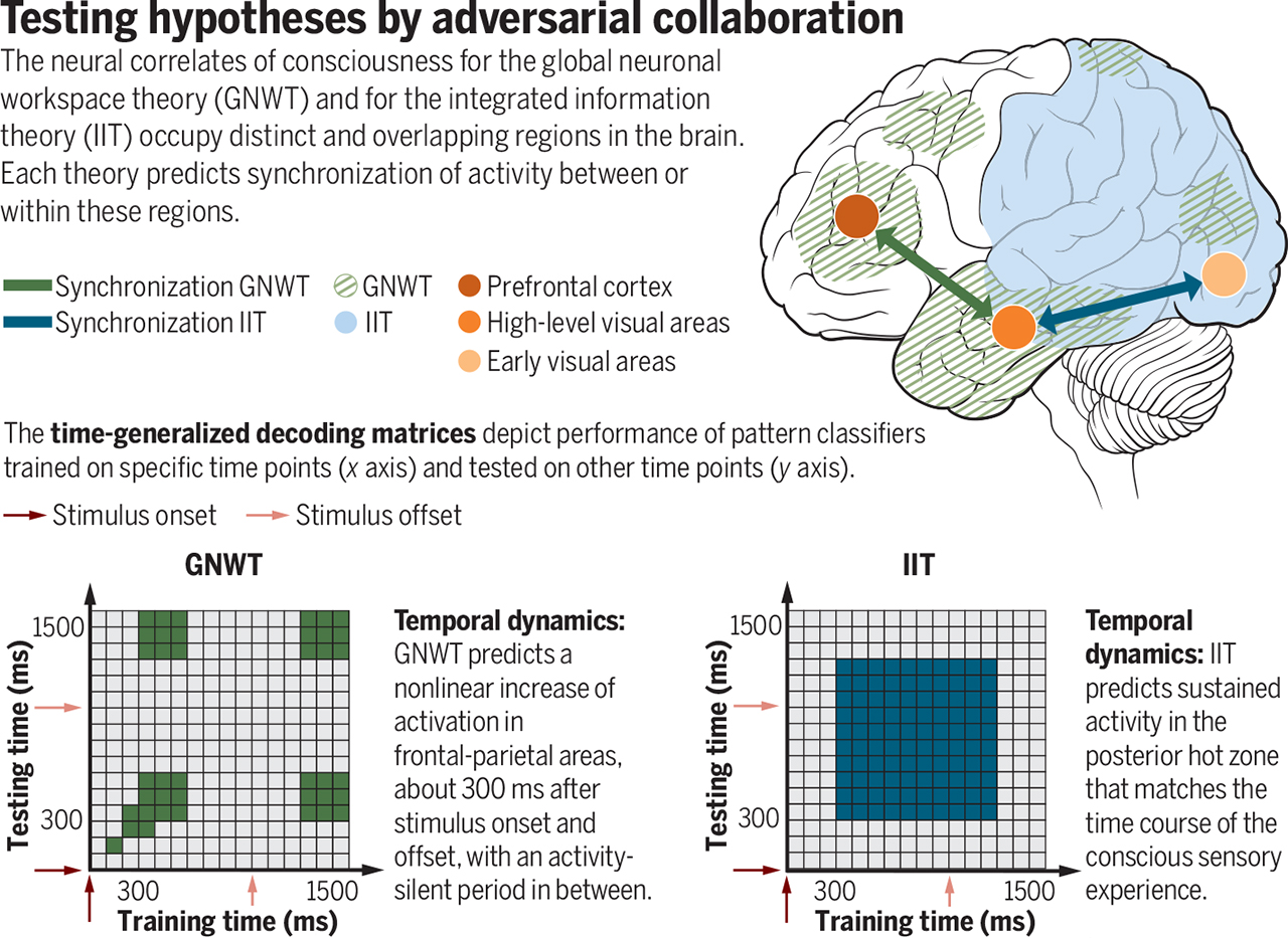 making-the-hard-problem-of-consciousness-easier