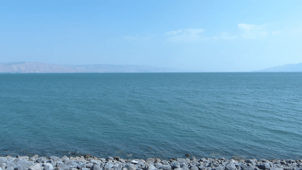 scientists-develop-‘cheap-and-easy’-method-to-extract-lithium-from-seawater