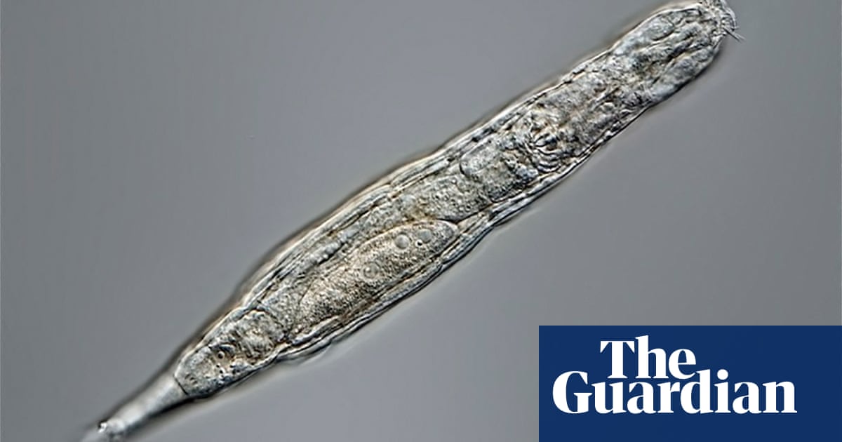 24,000-year-old-organisms-found-frozen-in-siberia-can-still-reproduce-–-zoology