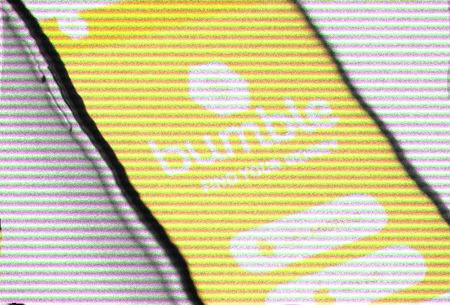 reverse-engineering-bumble’s-api-(2020)