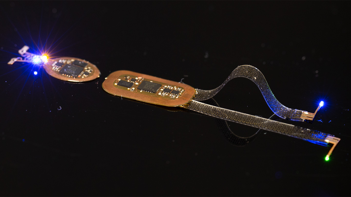 scientists-remotely-controlled-the-social-behavior-of-mice-with-light