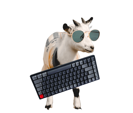 free-stuff-for-developer