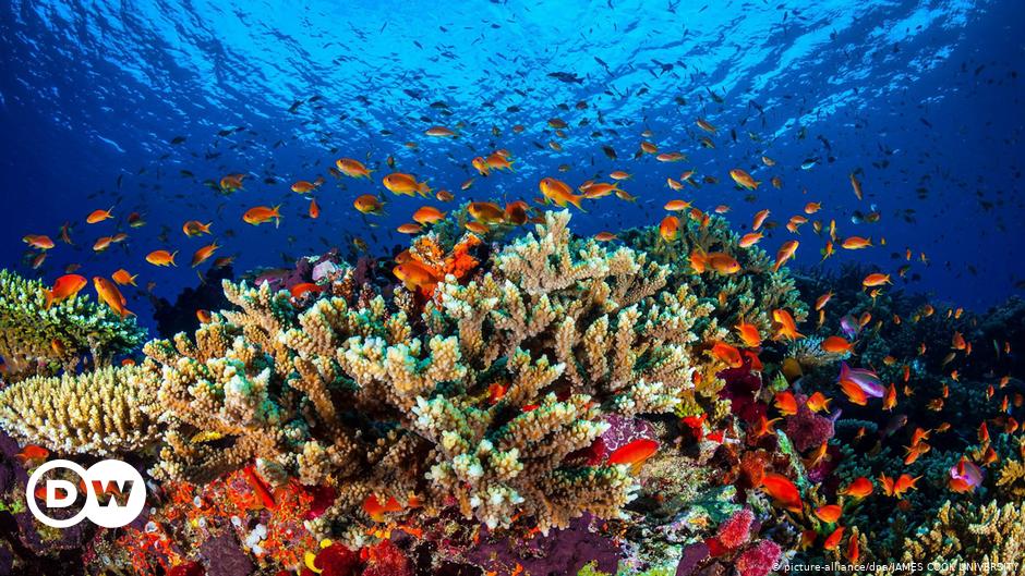 australia-opposes-great-barrier-reef-′in-danger′-listing