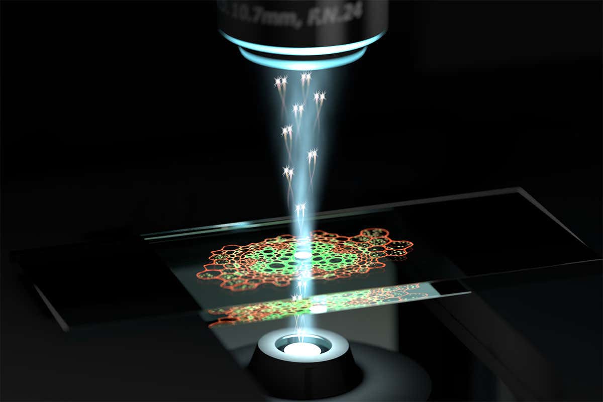 quantum-microscope-can-examine-cells-in-unprecedented-detail