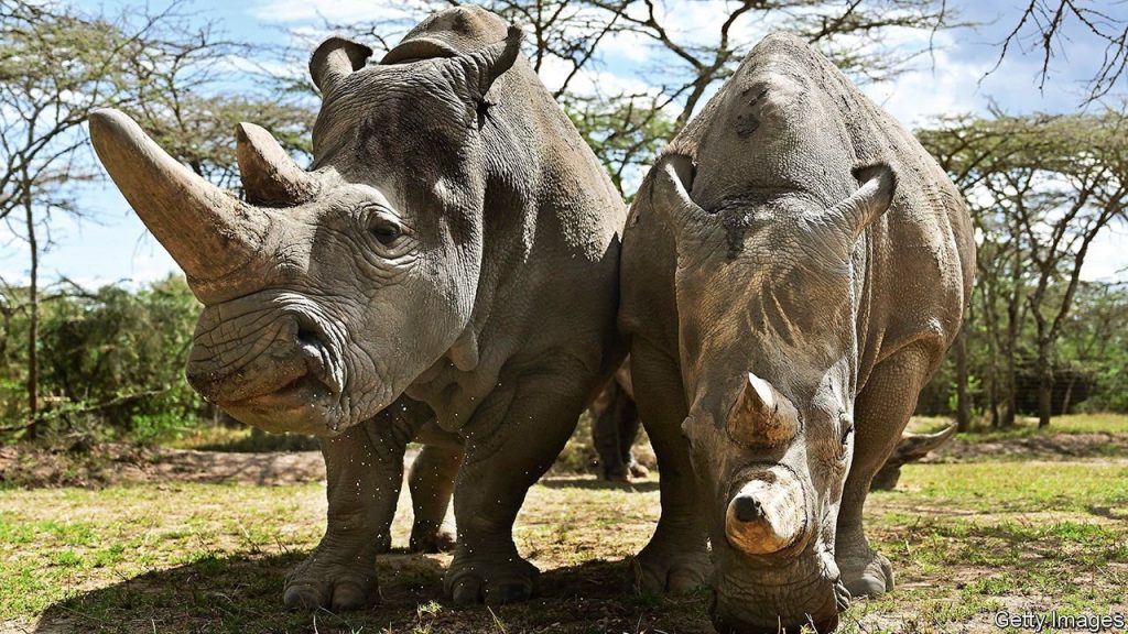 reviving-extinct-species-may-soon-be-possible