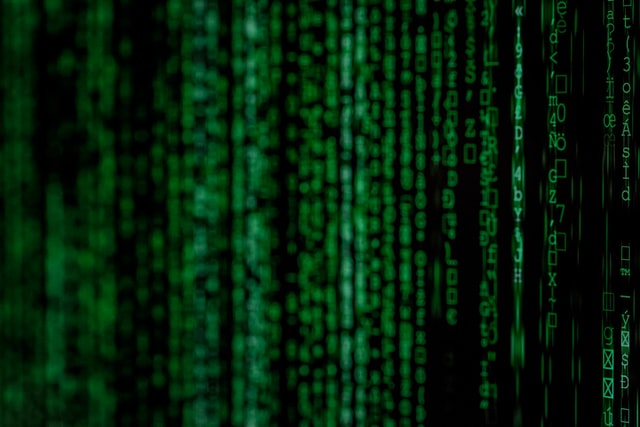 the-short-tale-of-an-online-scam