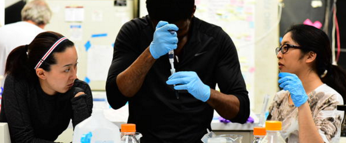 open-source-insulin