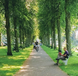 reading-hayek-in-holland