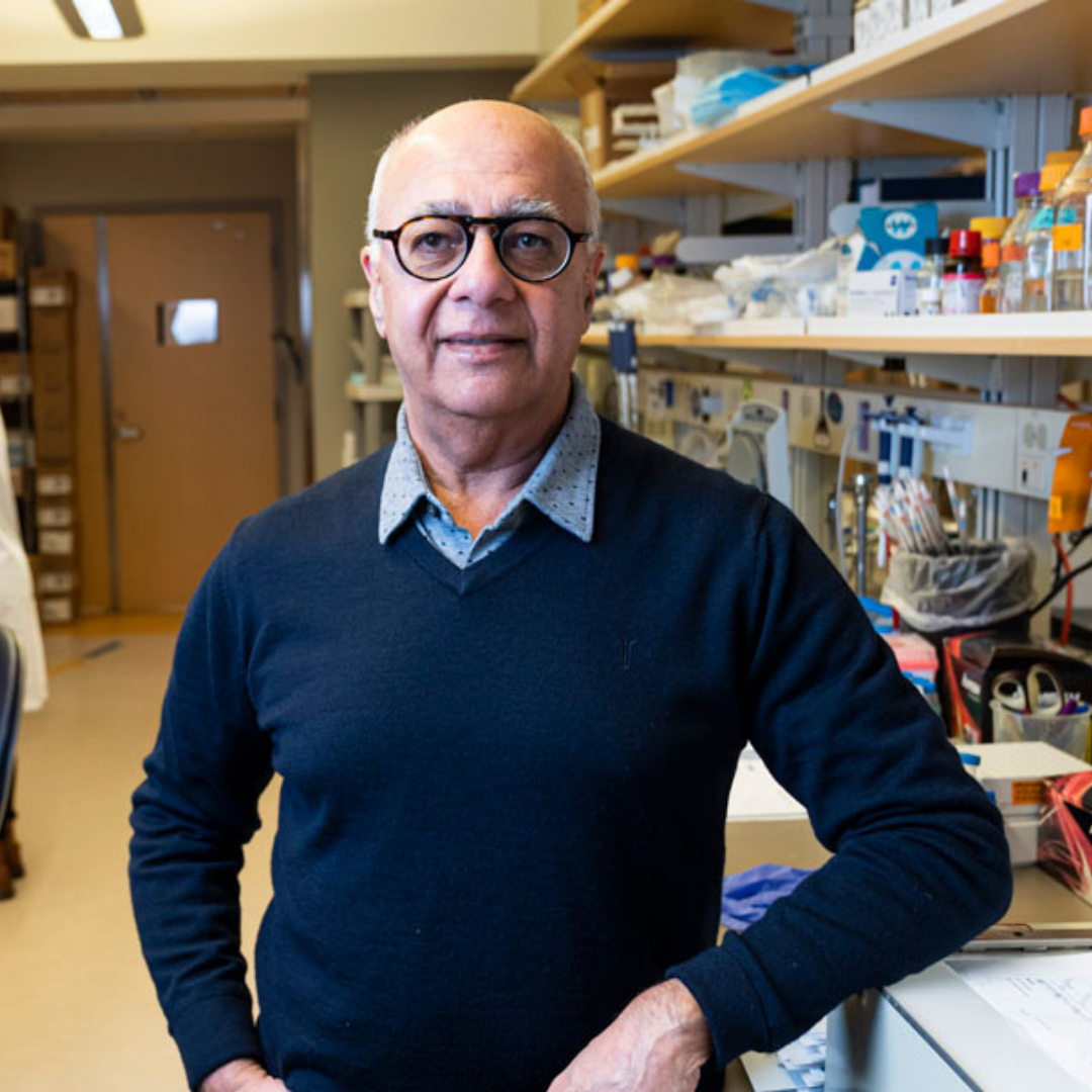 new-study-examines-‘achilles-heel’-of-cancer-tumours
