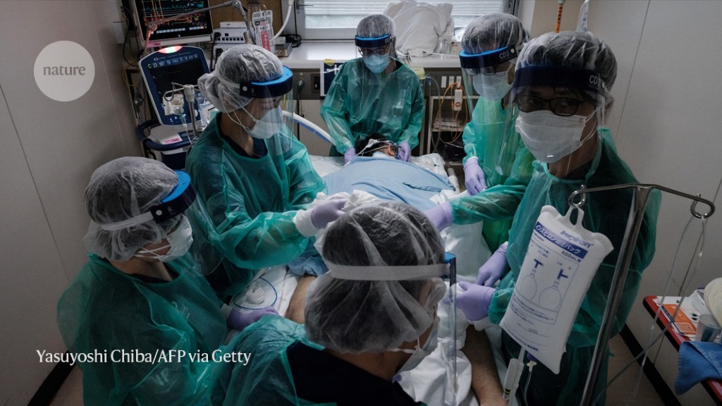 rogue-antibodies-involved-in-almost-one-fifth-of-covid-deaths