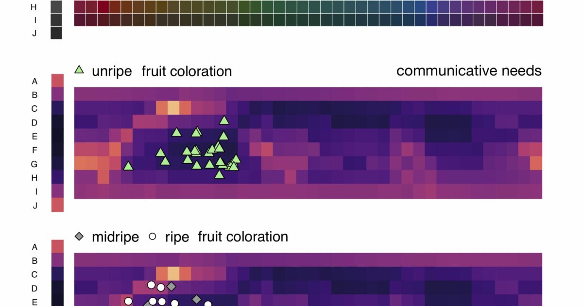 completely-different-languages-tend-to-group-colors-in-roughly-the-same-way