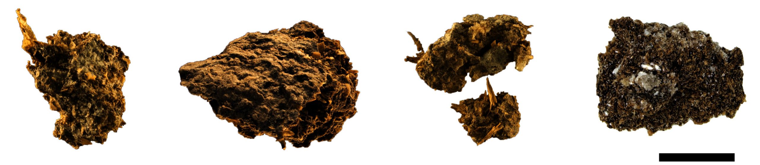people-in-present-day-austria-drank-beer-and-ate-blue-cheese-2,700-years-ago