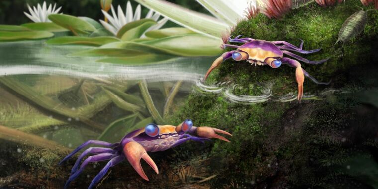 trapped-in-amber:-fossilized-dinosaur-era-crab-bridges-evolutionary-gap